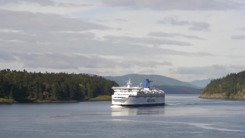 A cruise ship sailing along a river