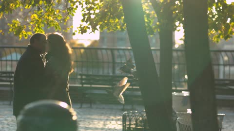 A man and woman kiss in a park while birds fly close by
