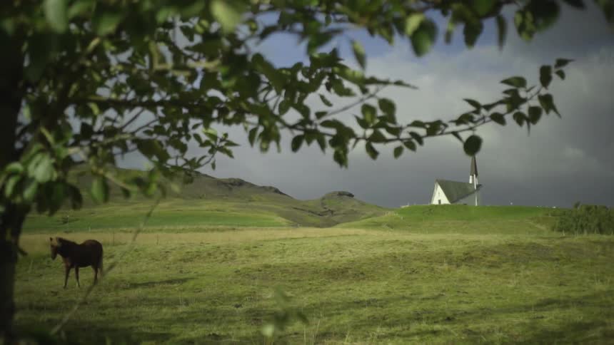 A view of a white country church in a mountain pasture containing a horse
