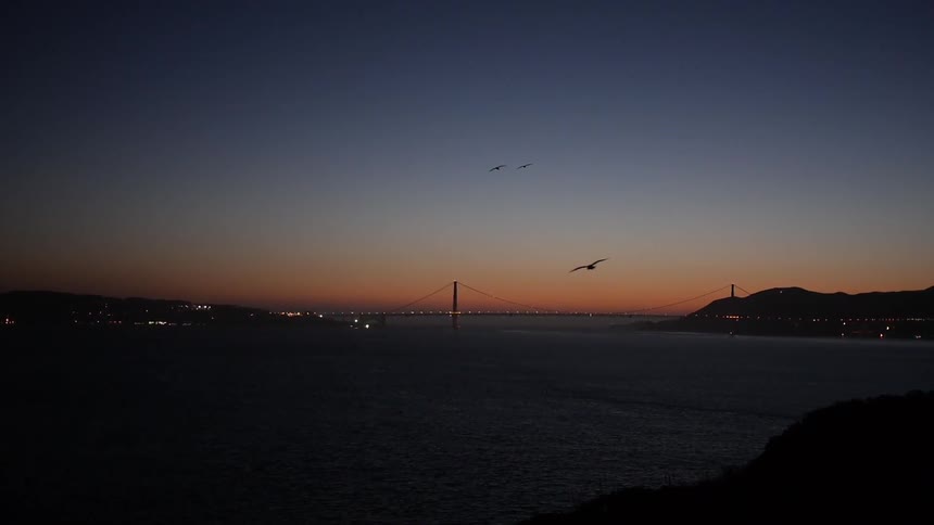 A bird soars in the sky at dusk