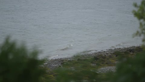 Water coming into a rocky shore