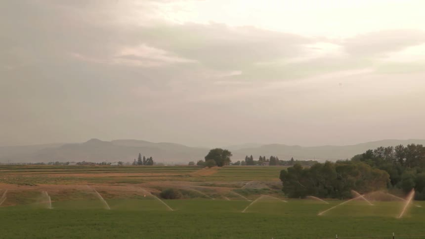 Rolling hills of a sunny day