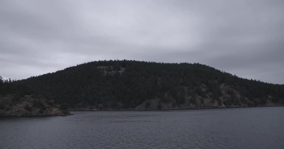 Water flows in front of a tree-covered hill