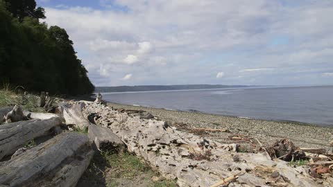 View of a beach on a sunny day