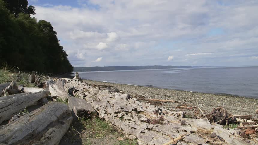 View of a beach on a sunny day