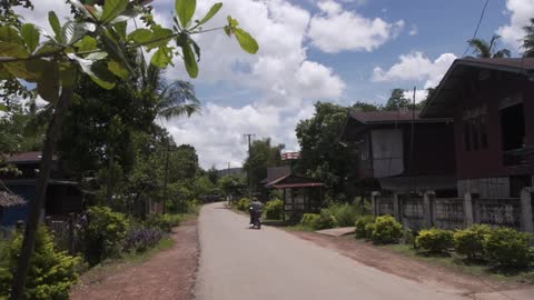 A motorcyclist drives down a bush-lined road