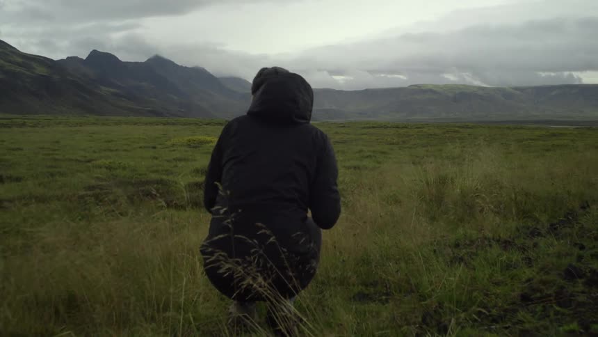 A scenery of a meadow and mountain range