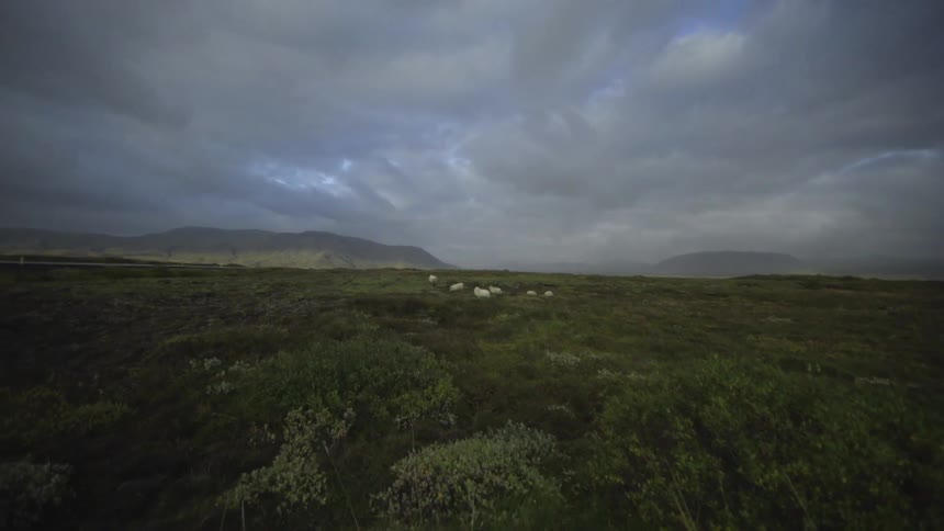 A scenery of a meadow at cloudy days