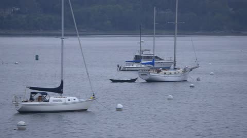 A group of boats are resting in the harbor