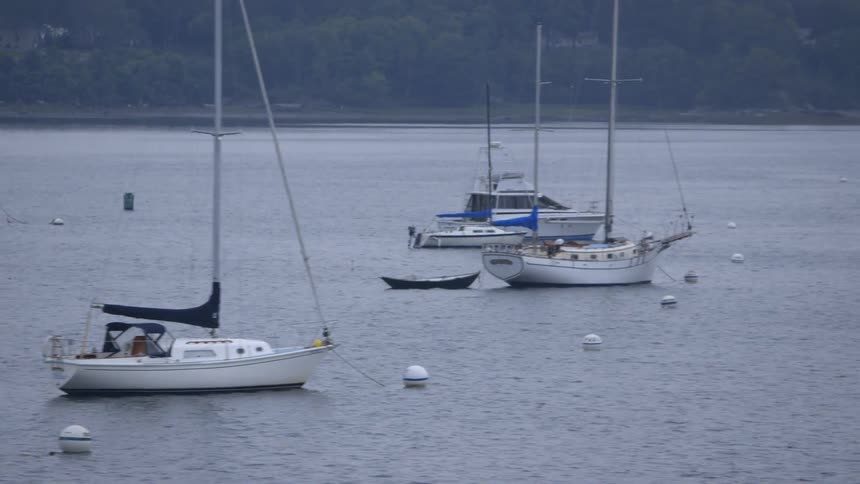 A group of boats are resting in the harbor