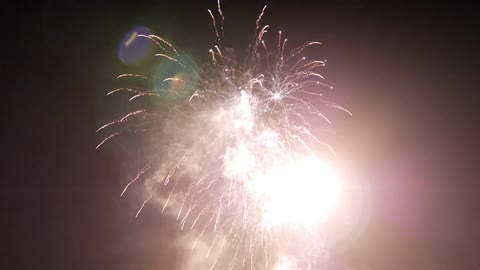 Fireworks exploding against a dark sky
