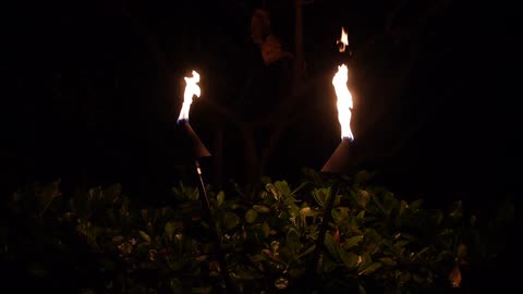 Torches lit at night