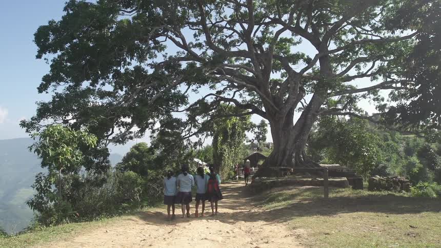 Girls walk down a dirty path towards a large tree