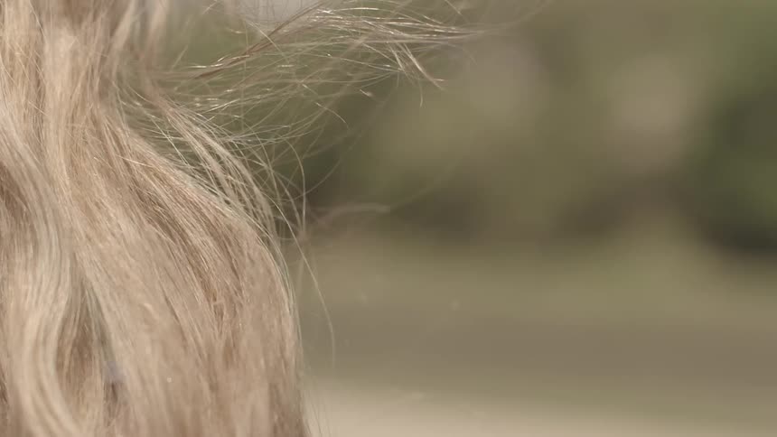 Person's hair blowing in the wind