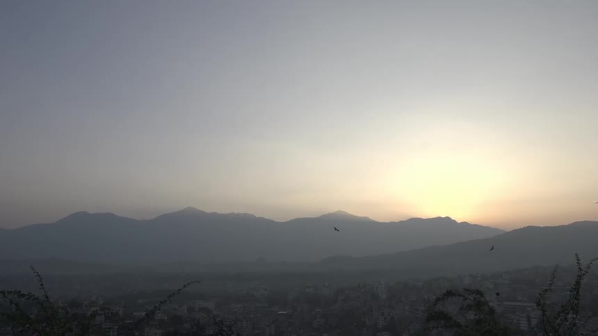 Birds soar in front of a mountain range