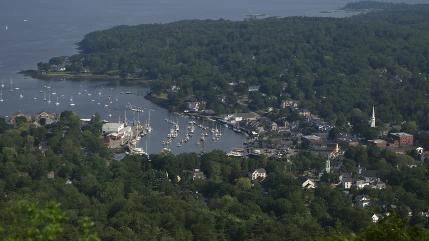 Boats anchored in a tree-lined harbor next to a town