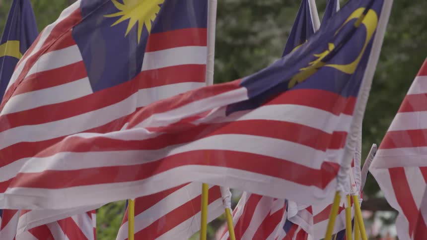 A group of flags are walked down the street