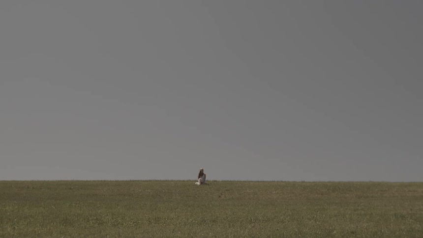 A woman in a white dress sits in a green field