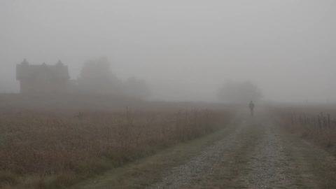 Morning fog on a farm