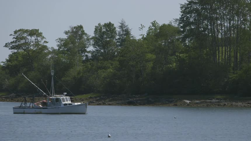 A boat floating in the water close to shore with a lot of trees