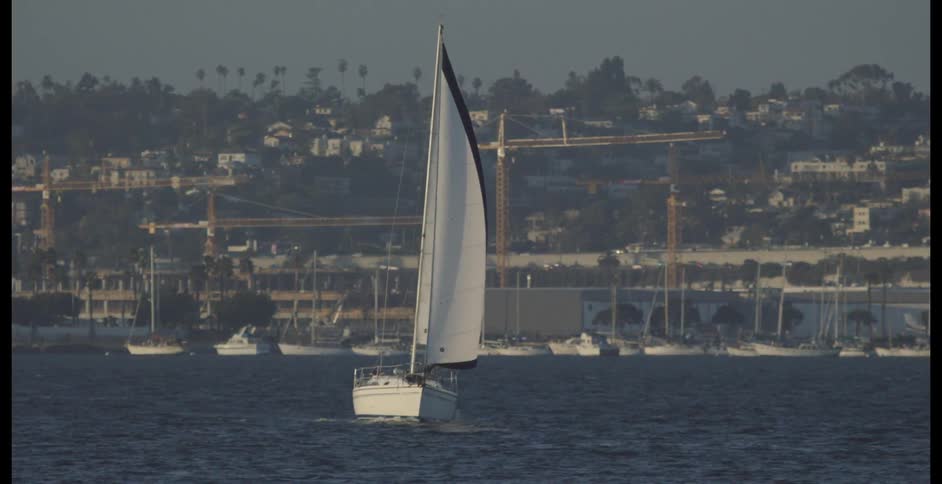 A sailboat gliding on the water while traffic passes by on a road in the background