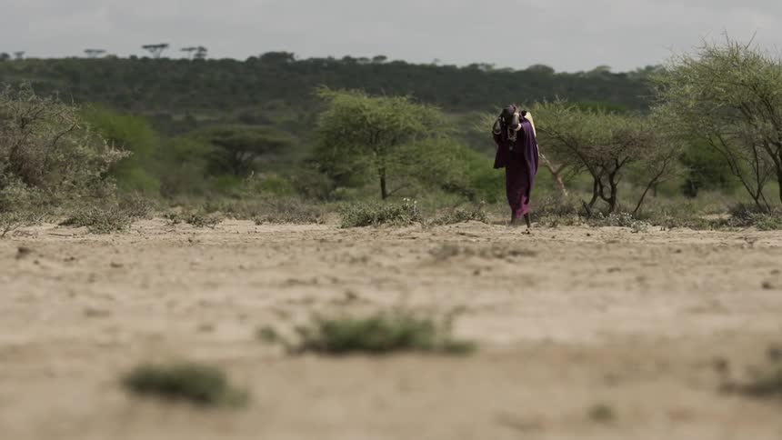 A woman carrying a basket on her back through an arid landscape