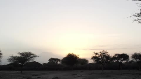 Sunset by some trees