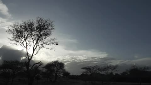 Thin clouds inthe sky