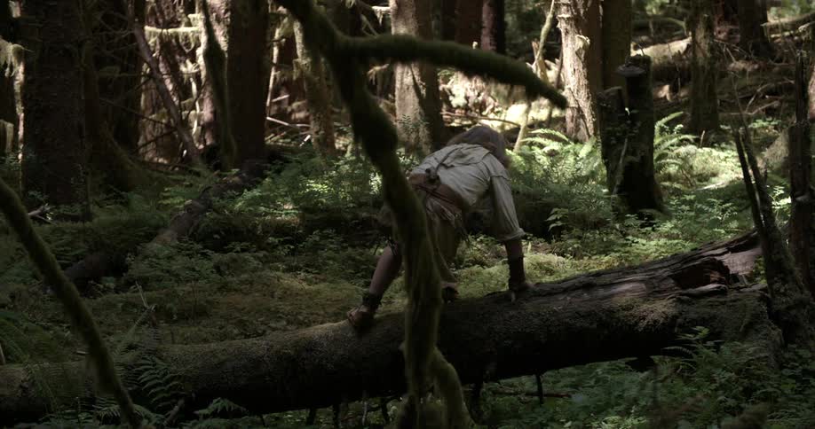 A person running in the woods