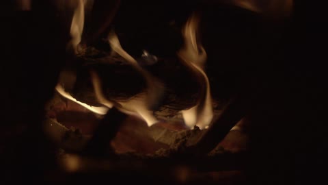 A log fire burns
