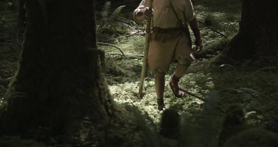 A person walking in the woods