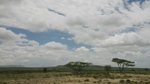 Clouds passing over the savannah