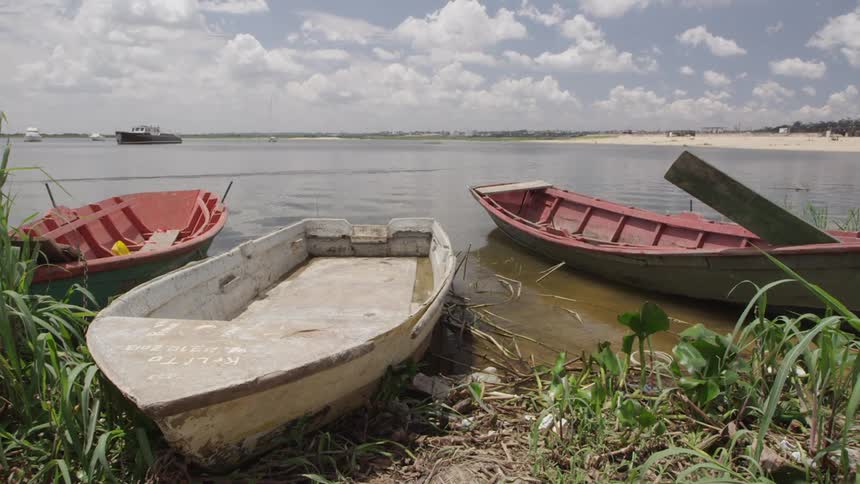 Row boats sitting on the edge of a lake