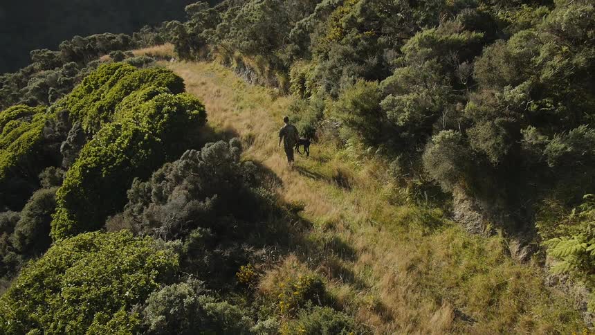 A man walks with a dog in the wilderness