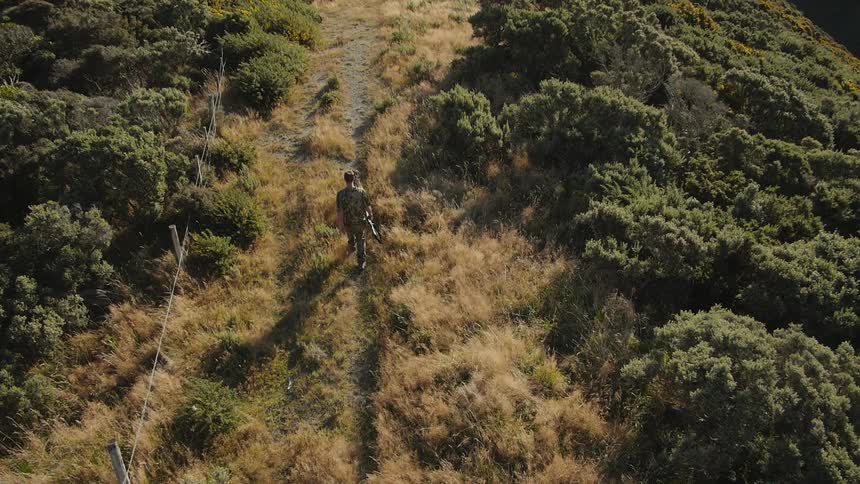 A man walks with a dog in the wilderness