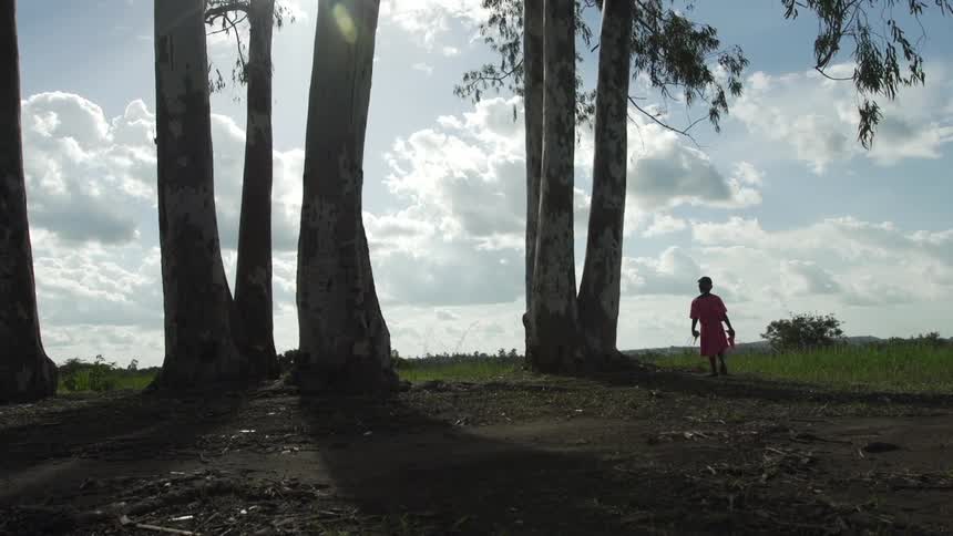 A child walks by a cluster of trees