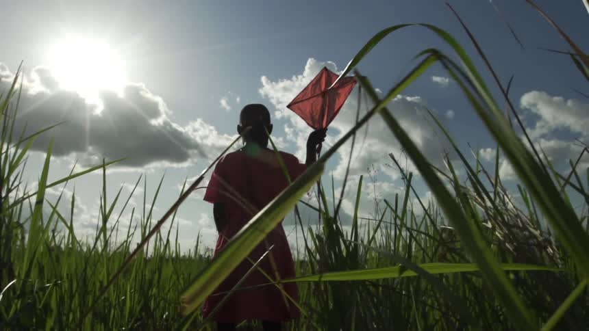 A man holds up a kite in a sunny field