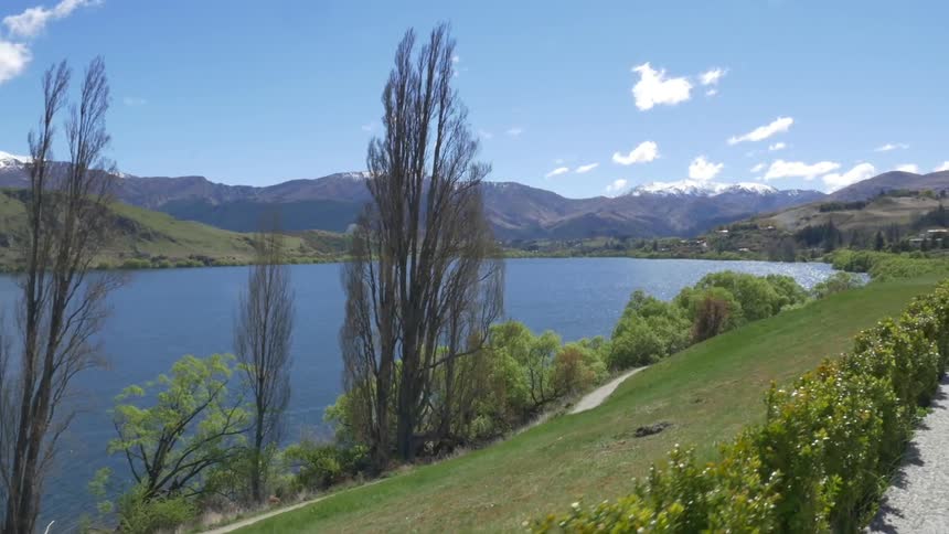 Trees grow around the perimeter of a lake