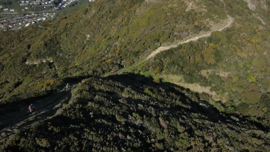 Aerial view of people riding bikes
