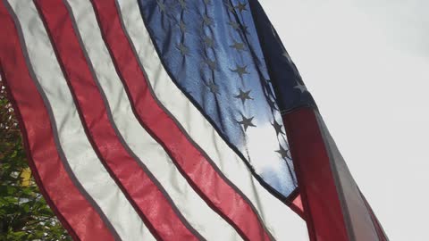 A flag waving in the wind