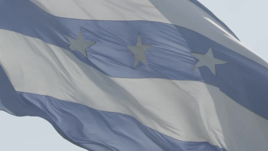 Flag blowing in the wind