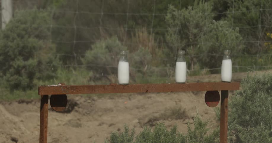 Bottles of milk lined up on a fence and one blows up when it gets shot
