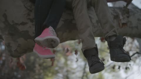 People sitting in a tree together