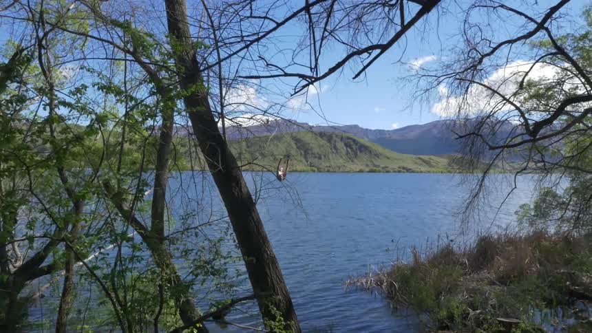 A person swinging off of a rope into a lake