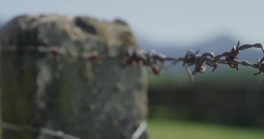 A close up shot of barbwire