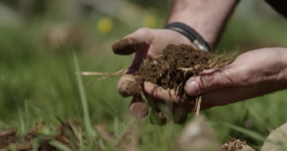 Hands dig in the soil and pick up a pile of dirt