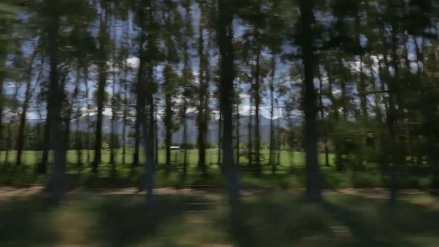 A scenery at a rural road