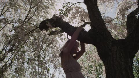 A person hanging off of a tree