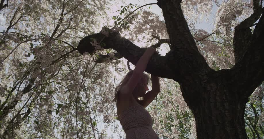 A person hanging off of a tree
