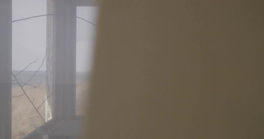 A person looking out of a window